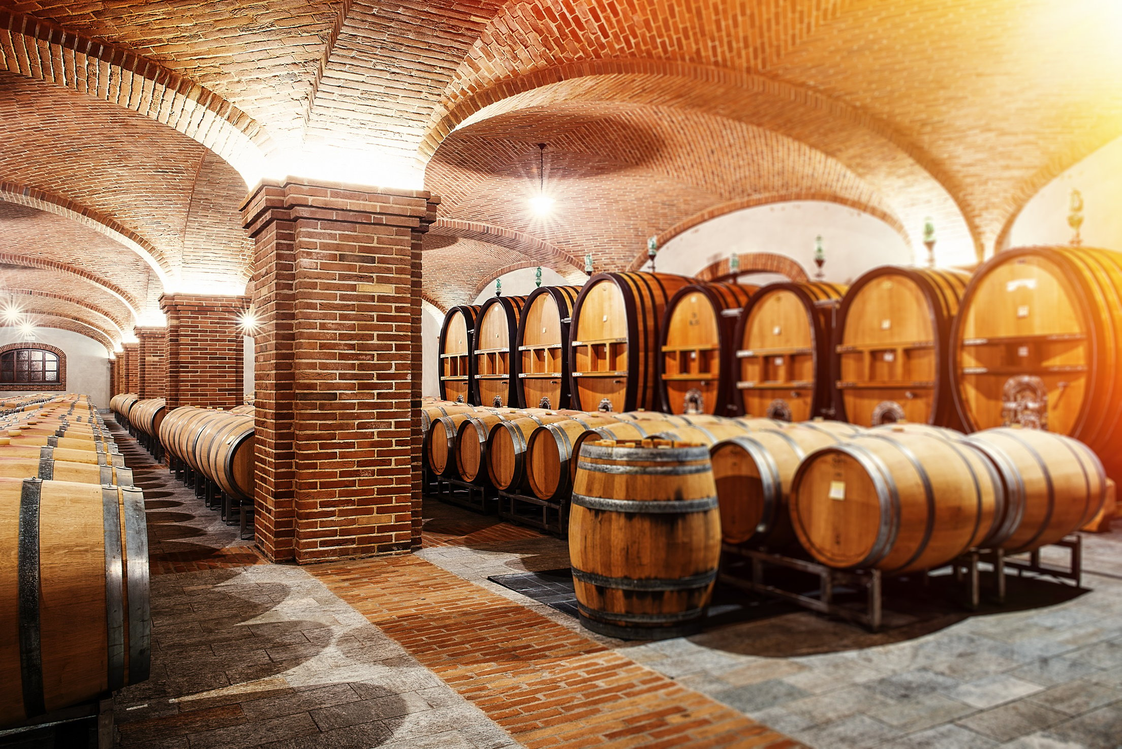 Wine Cellar